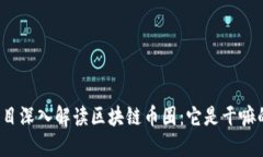 项目深入解读区块链币圈